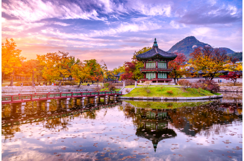 베트남 (하노이/호치민시) – 서울 – 남이섬 – 롯데월드 – 엘리시안 스키 – 과일 따기